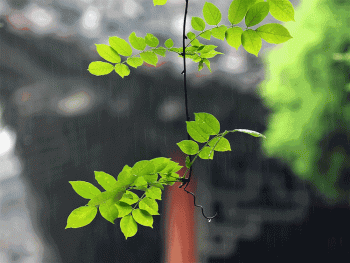 雨古诗词杜牧赏析（十首唯美唐宋雨诗赏析）