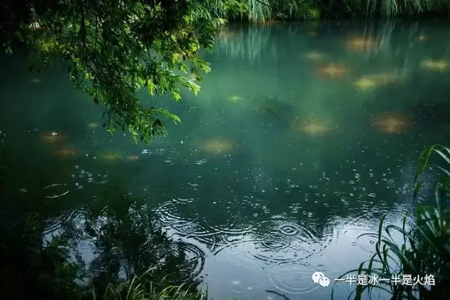 听雨唯美的句子（关于听雨的散文）