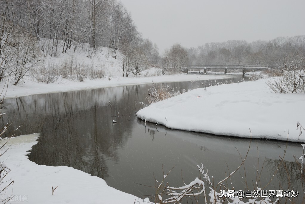 柳宗元江雪古诗赏析（江雪原文内容和诗意解读）