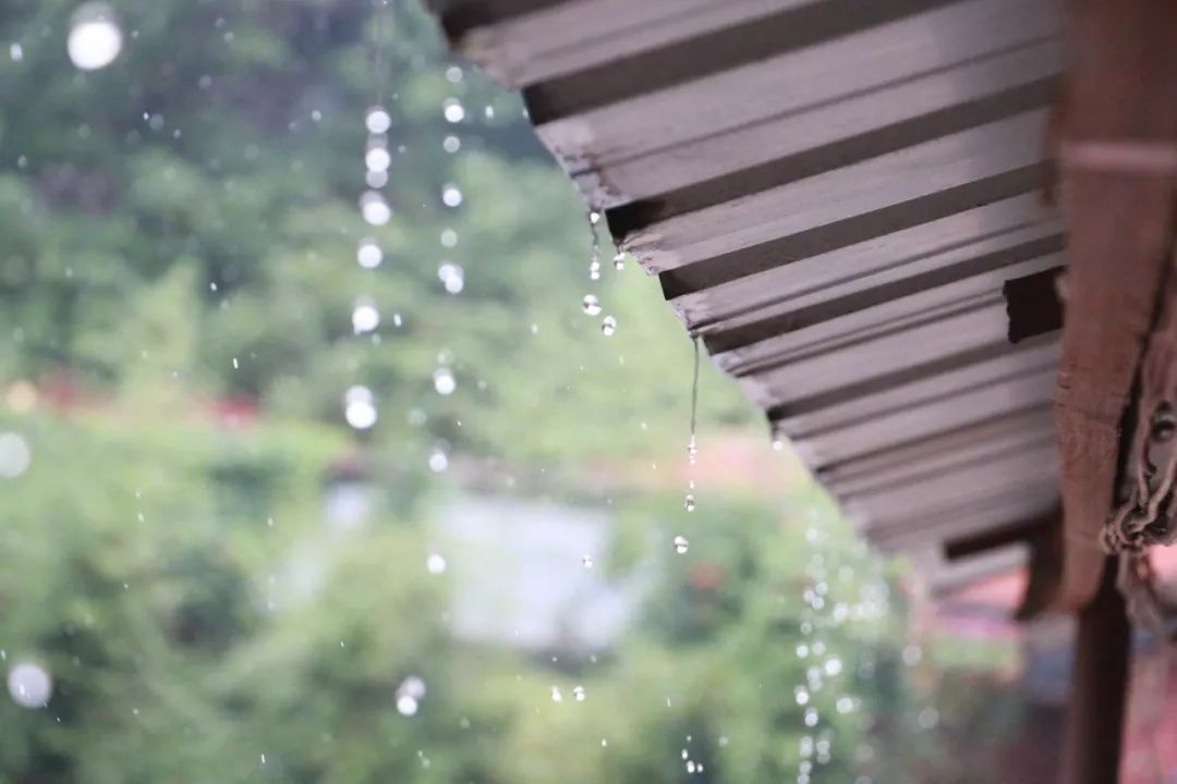 赞美秋雨的句子有哪些（写尽秋雨之美的35首唯美古诗词）