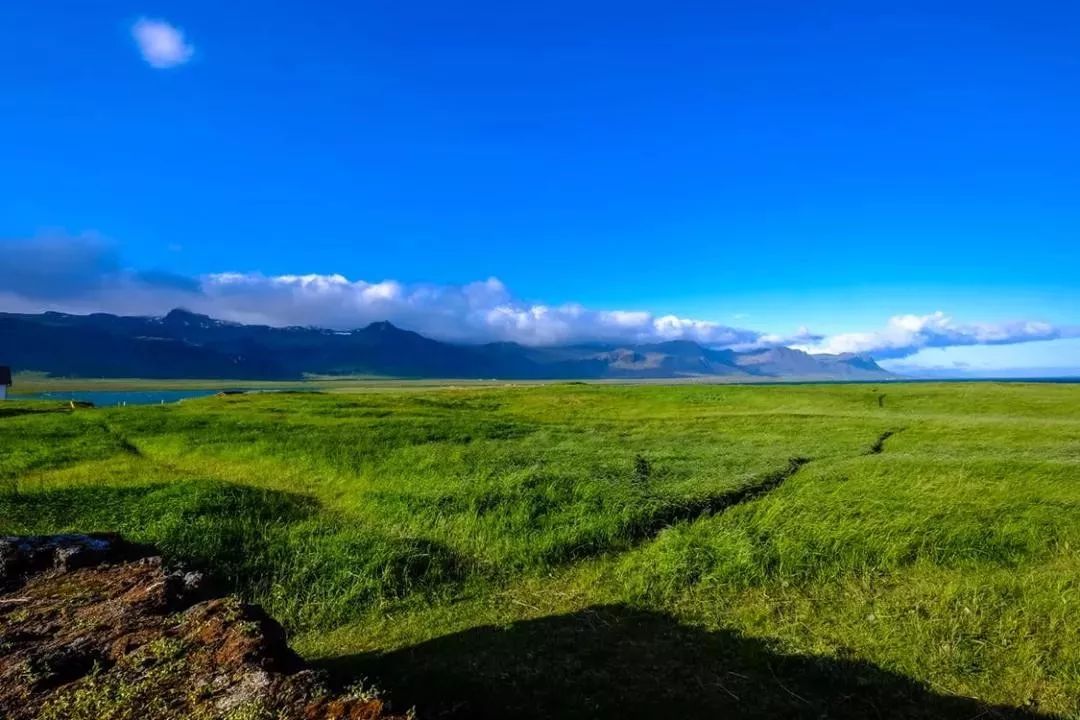 大草原的诗句有哪些（感受大草原的短句）