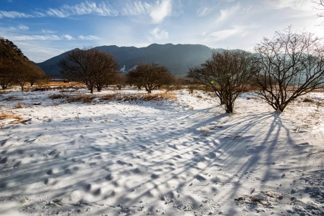 有关雪的诗句有哪些（描写唯美雪景的20首古诗词）