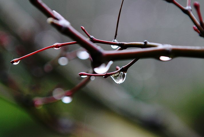 冬日有雨的散文（形容冬天的小雨句子）