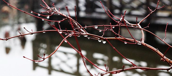 冬日有雨的散文（形容冬天的小雨句子）