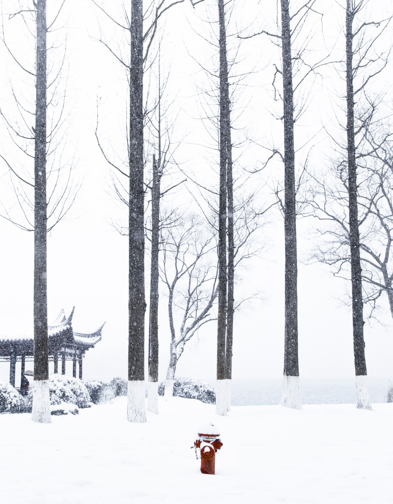 描写雪的古诗词有哪些（和雪有关的诗词赏析）