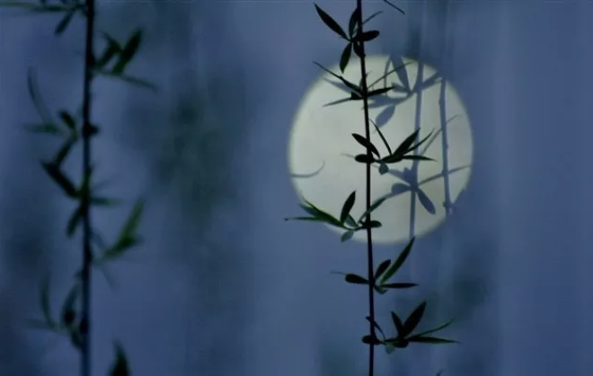 描写月光的诗句有哪些-写月光的唯美古诗词