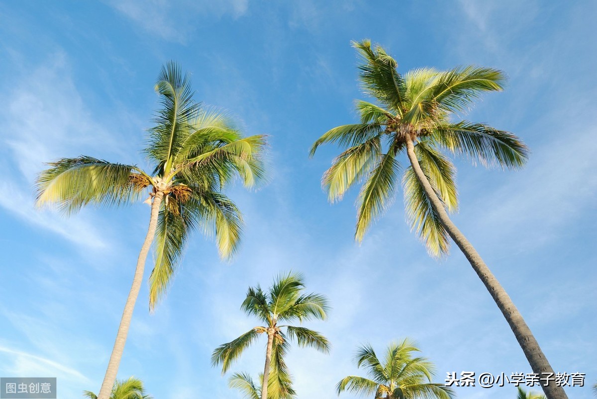 描述夏天的词语都有哪些-夏天最短好句朋友圈