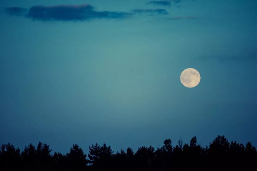 写月亮的诗句有哪些-关于月亮的古诗大全