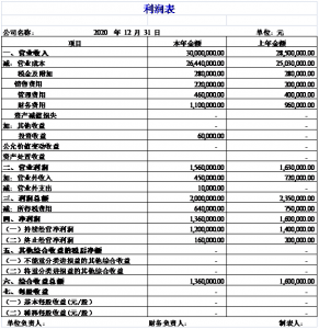 事业单位财务报告模板-公司财务审计报告范本