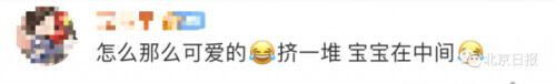 无人机拍下野象群睡觉休息画面-大象睡上热搜