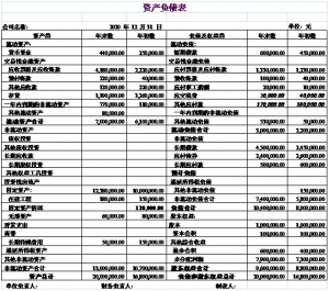 事业单位财务报告模板-公司财务审计报告范本