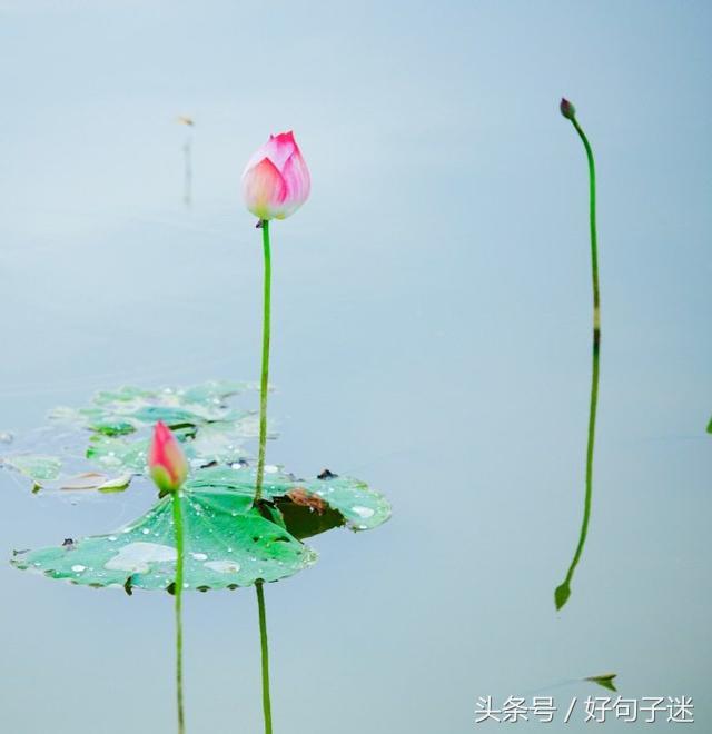 因为想你睡不着的句子有哪些-夜里想你睡不着的情话