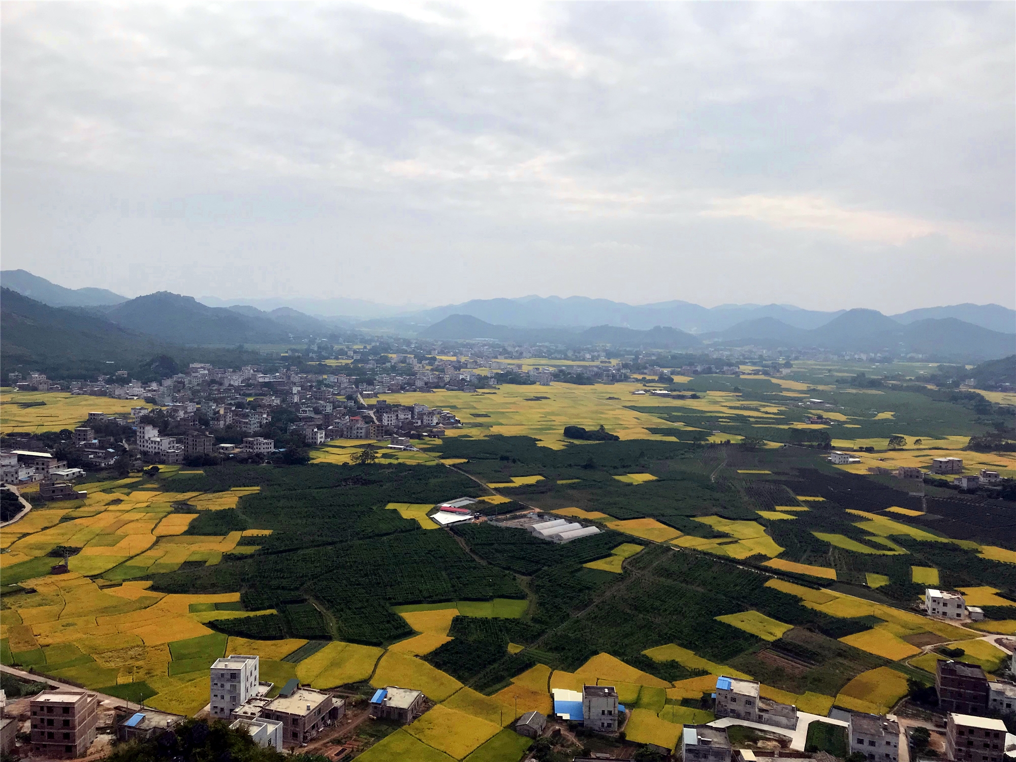 描写稻田的优美句子秋天-乡村稻田风景的美句分享