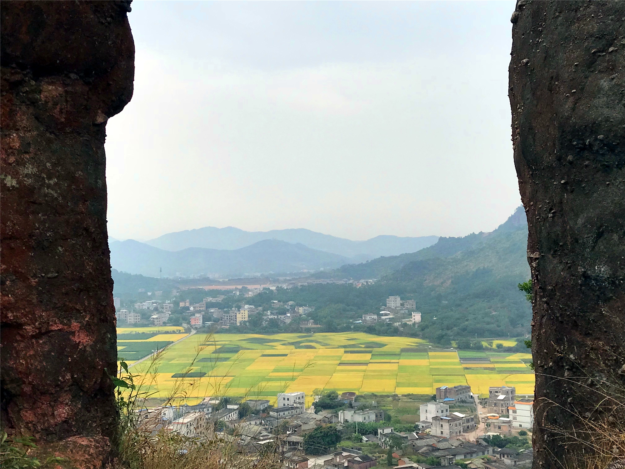 描写稻田的优美句子秋天-乡村稻田风景的美句分享