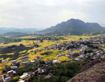 描写稻田的优美句子秋天-乡村稻田风景的美句分享