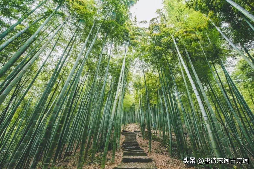 辛弃疾的诗词有哪些-25首代表性诗词赏析