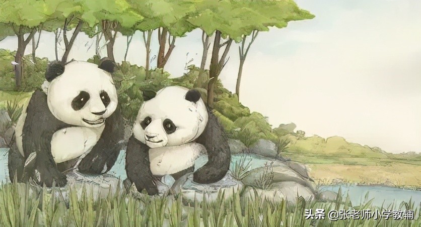 描写大熊猫的句子有哪些-一句话赞美大熊猫