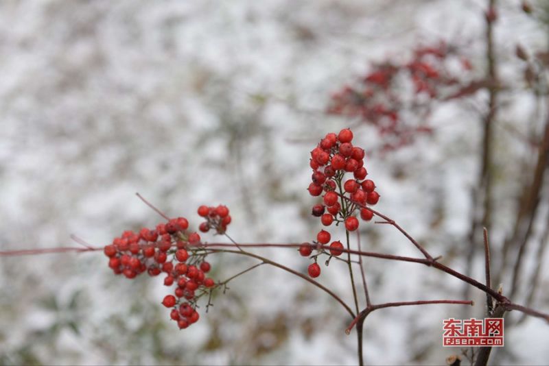 描写雪的句子唯美古风-描写雪的优美句子摘抄