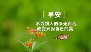 真心问候朋友的句子-最新版早上好问候语