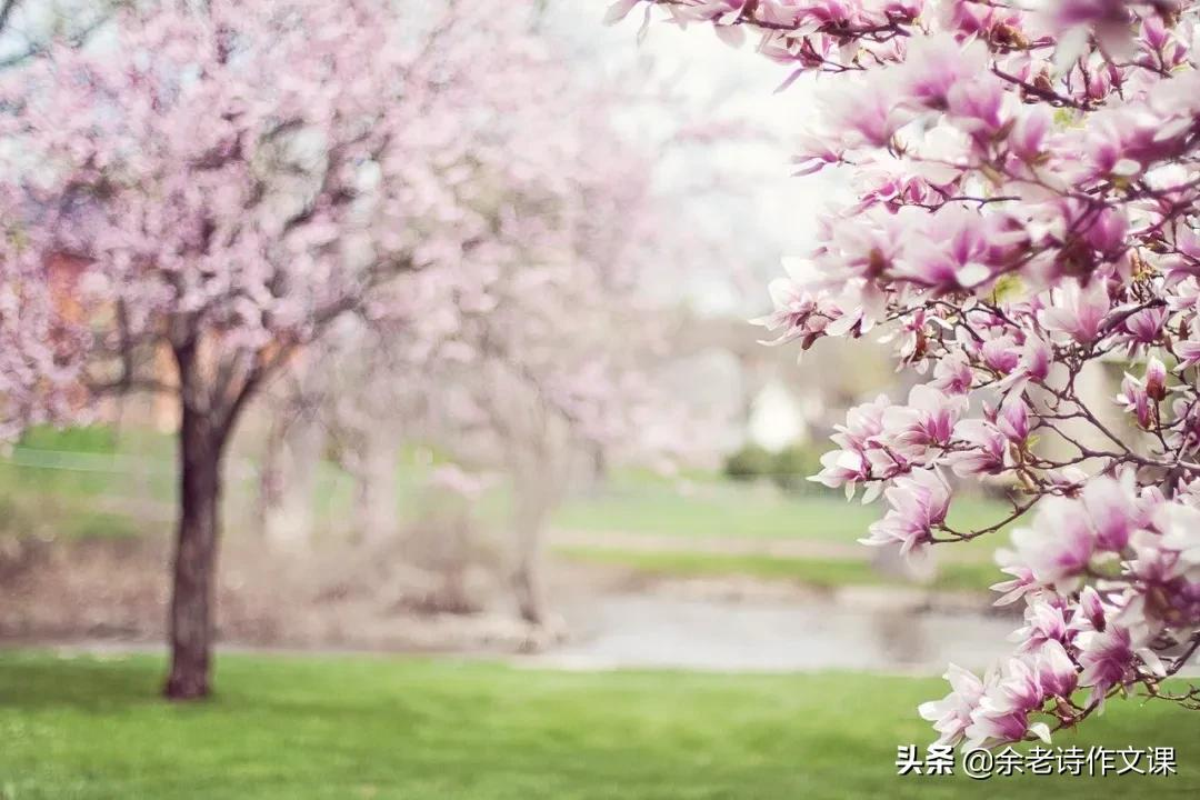 描写环境优美的句子-一句简短的风景句子