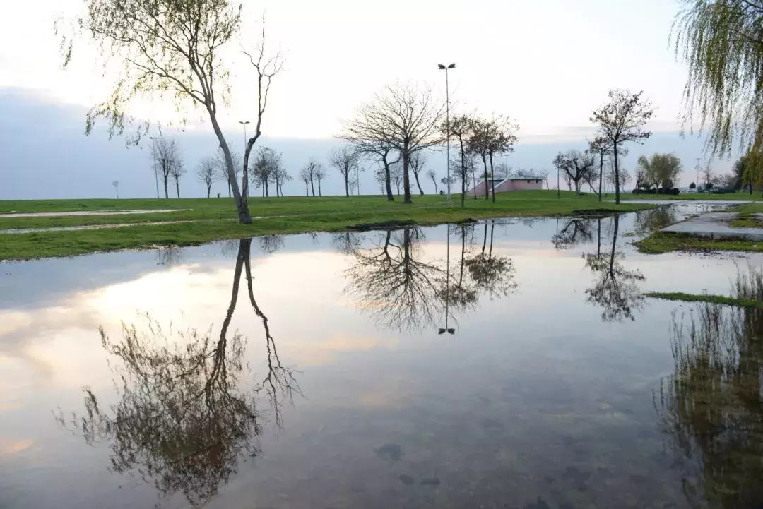 哲理的诗句有哪些-蕴含人生哲理的古诗