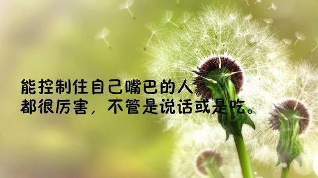 说到心坎的句子说说-经典人生短句分享