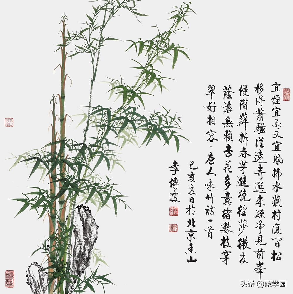 赞美竹子的句子有哪些-对竹子的赞美短句分享