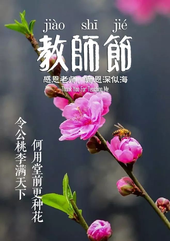 赞美老师的语句简短-赞美老师的精美语句