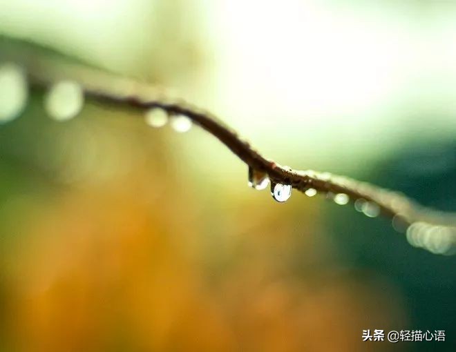 一场秋雨一场凉的说说-一场秋雨一场寒的句子分享