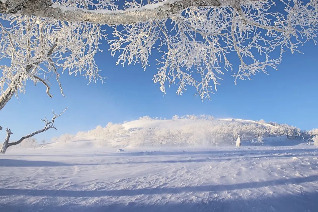 描写雪的诗歌十首-诗中有雪的诗十首分享