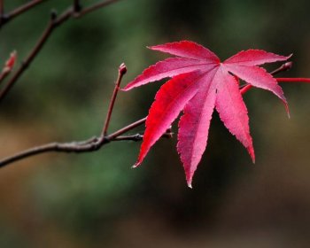 步入中年的70后感悟-奔五的70后人生感悟分享