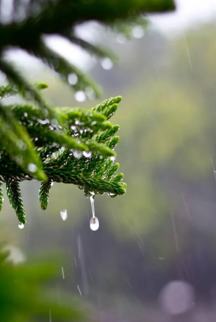 关于雨的诗句有哪些-描写雨景的12首唯美古诗词