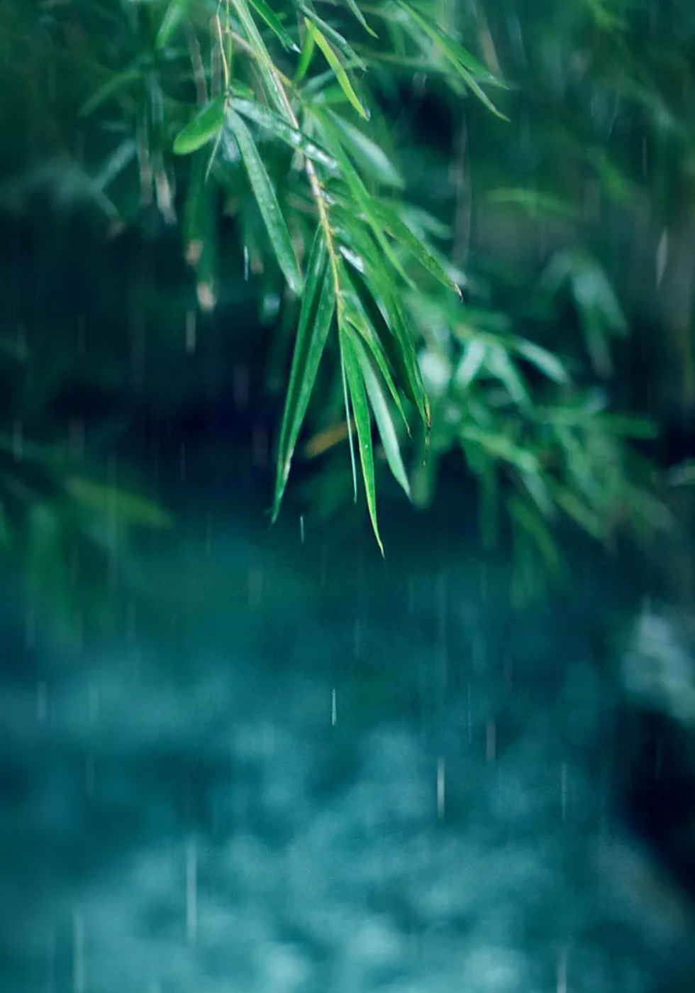 关于雨的诗句有哪些-描写雨景的12首唯美古诗词