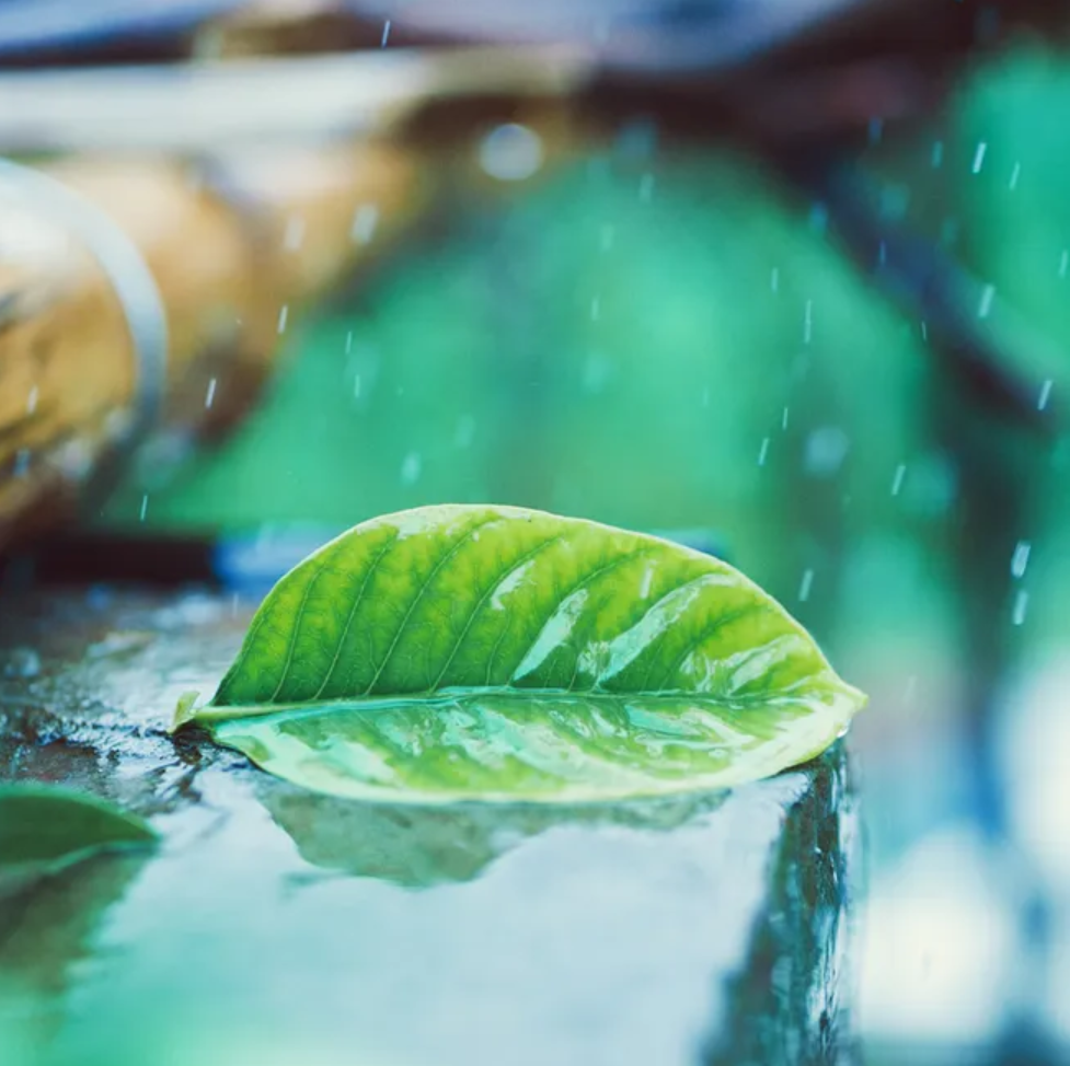 关于雨的诗句有哪些-描写雨景的12首唯美古诗词