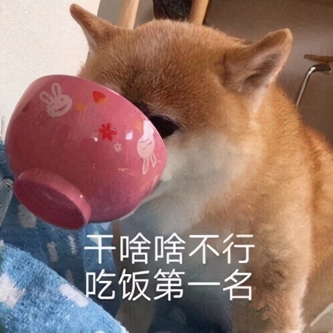 吃货说说搞笑吃货语录-关于吃货的调皮说说