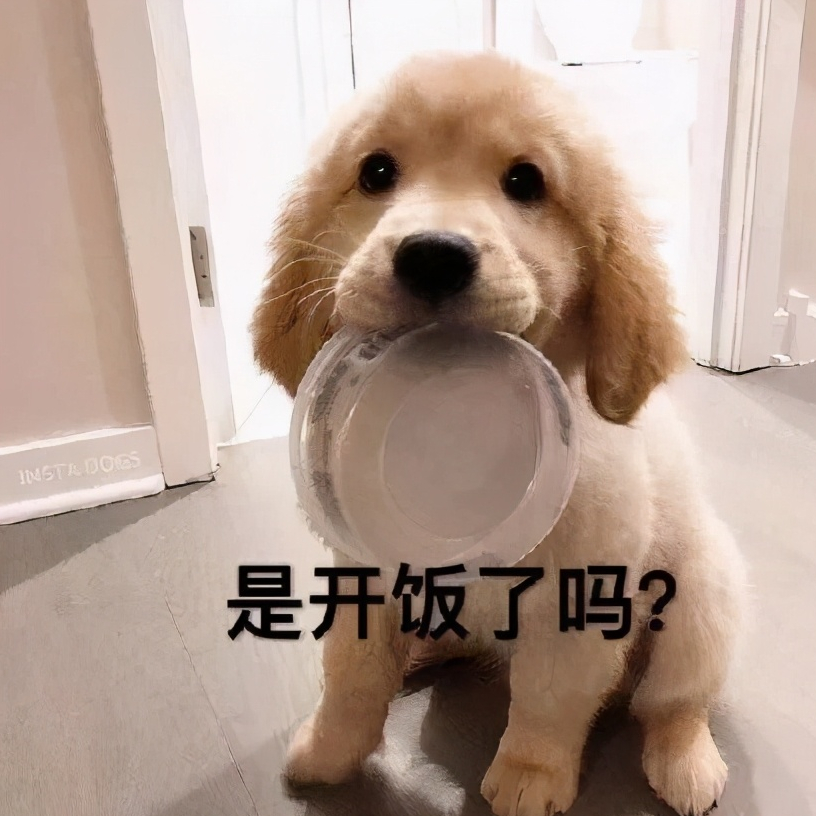 吃货说说搞笑吃货语录-关于吃货的调皮说说