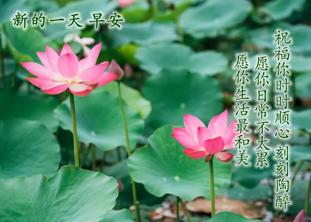 赞美友情的唯美句子发朋友圈-赞美友谊的话简短