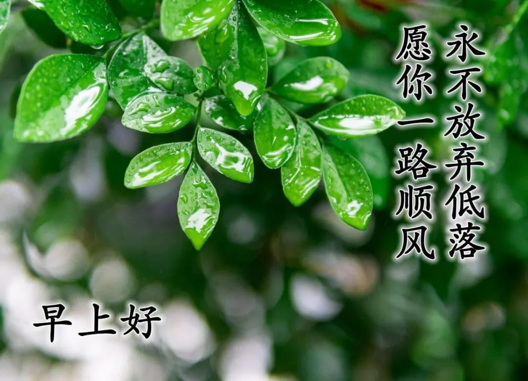 赞美友情的唯美句子发朋友圈-赞美友谊的话简短