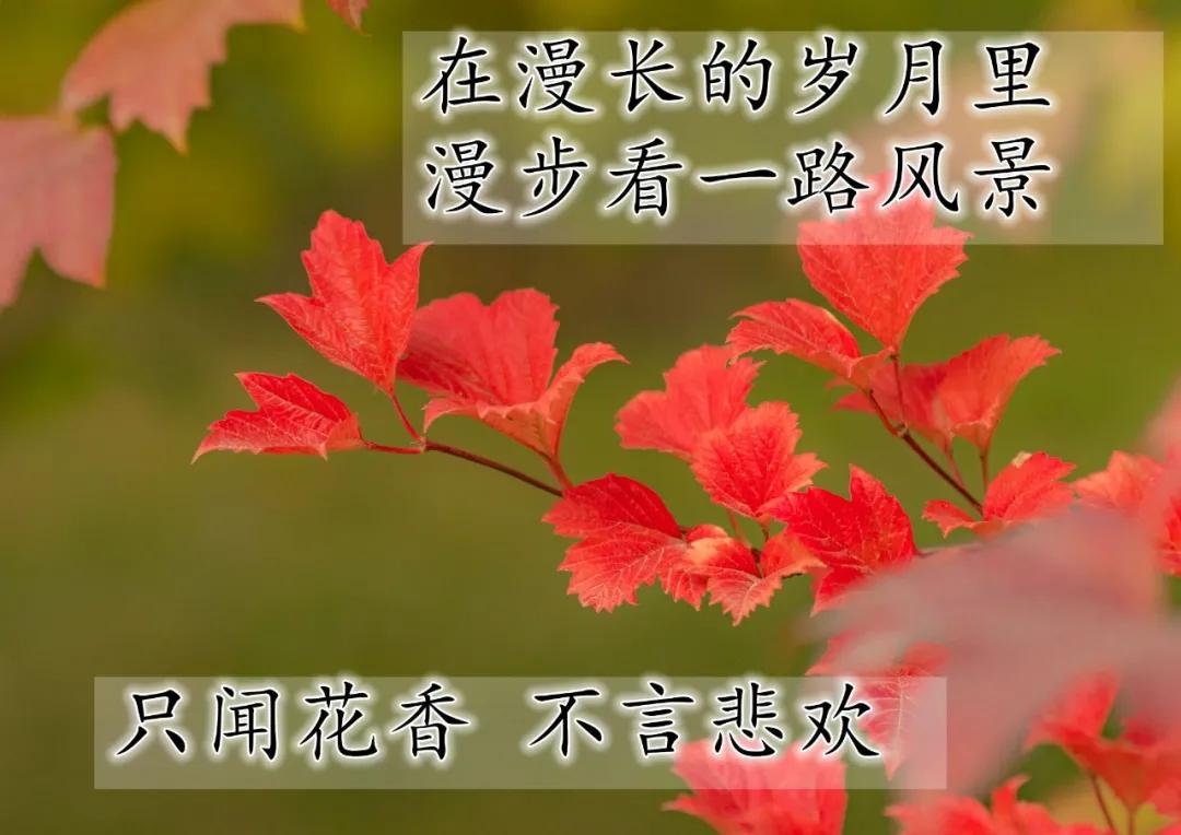 赞美友情的唯美句子发朋友圈-赞美友谊的话简短