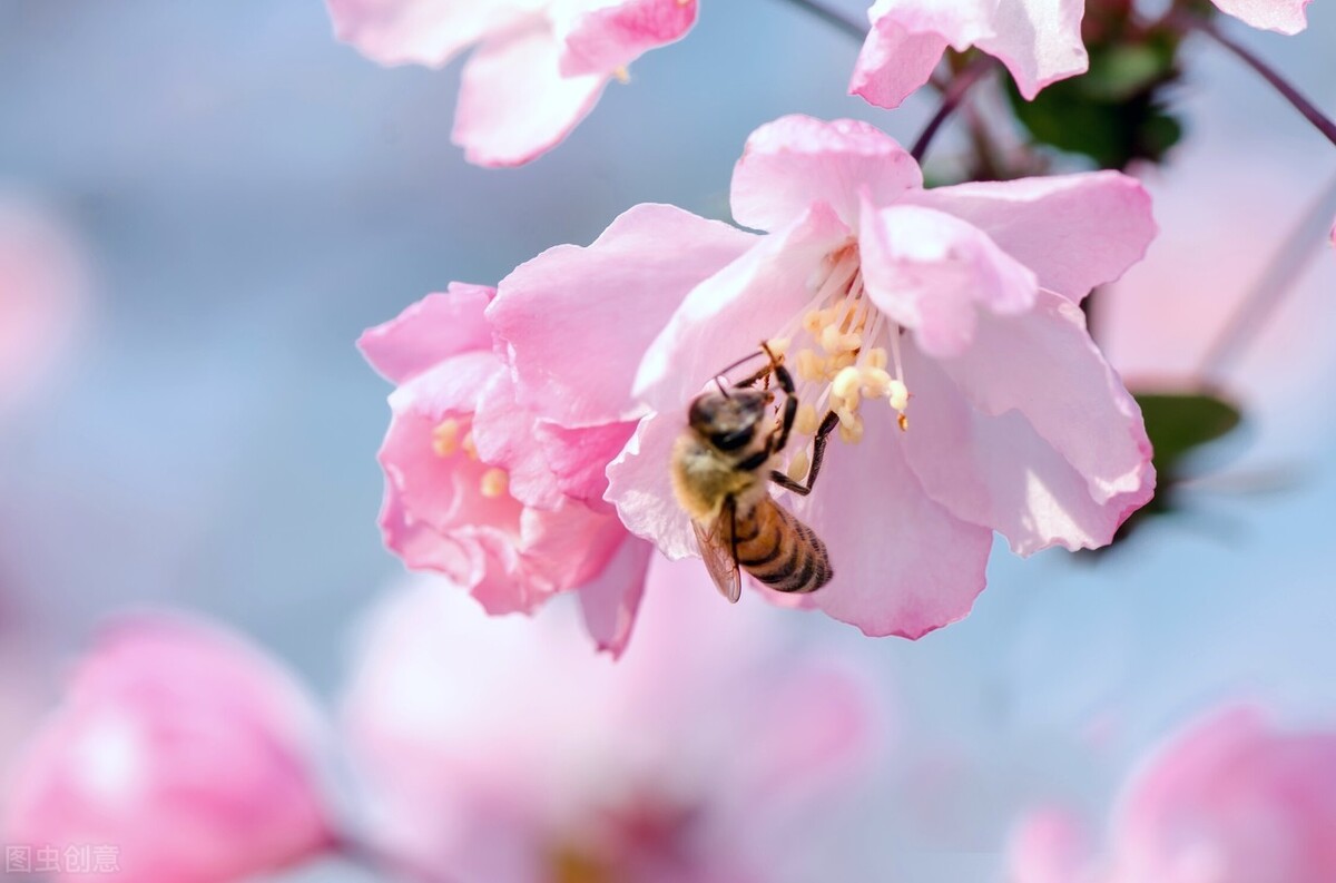 歌颂老师的一些话-歌颂老师的短句分享