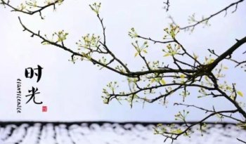 时间感悟人生哲理的句子-时间与人生感悟的句子推荐
