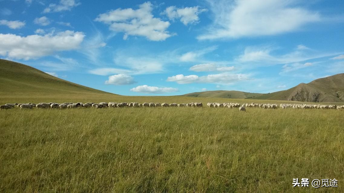 描写草原的优美句子-内蒙古草原的景色描写