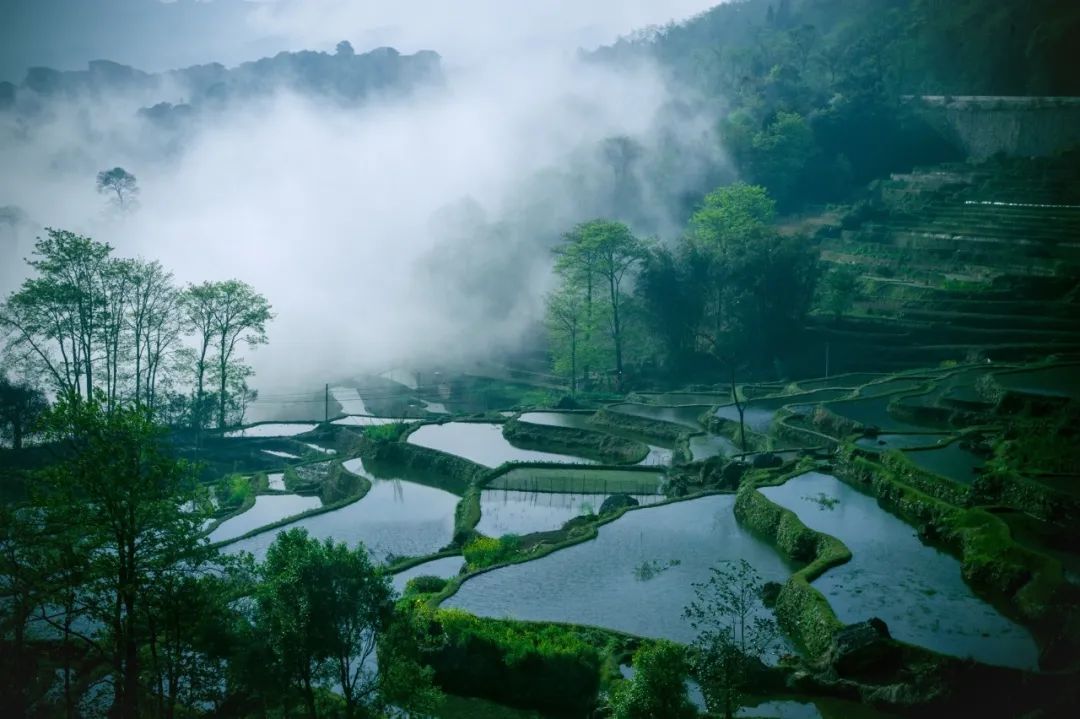 表达思乡的诗句有哪些-思乡情怀的诗句分享