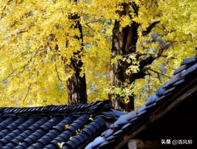 形容自己脾气暴躁的说说-心情不好脾气暴躁的说说分享