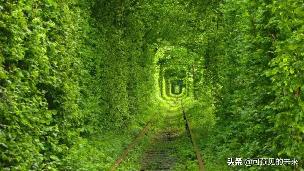 形容大自然神奇美景的句子-关于自然风景的优美句子