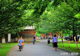 夏季校园风景美的简短句子-适合校园风景的文案