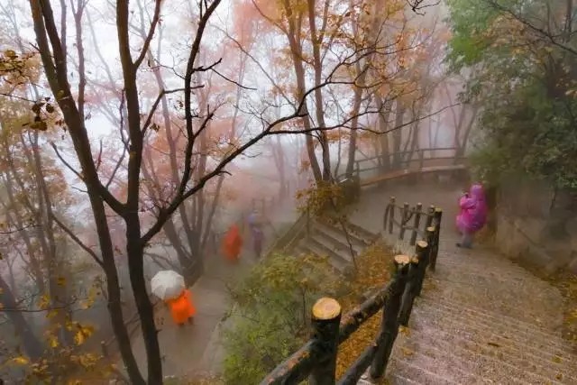 人在画中游的唯美句子-形容风景美人在画中游