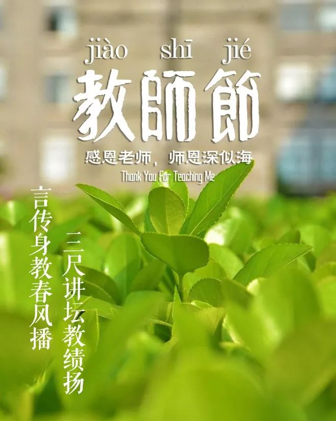 歌颂老师的句子有哪些-最新赞美老师的话