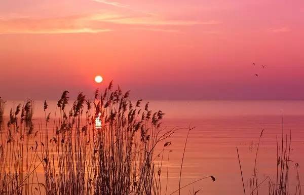 形容夕阳美景的句子-赞美夕阳之美的十首古诗词