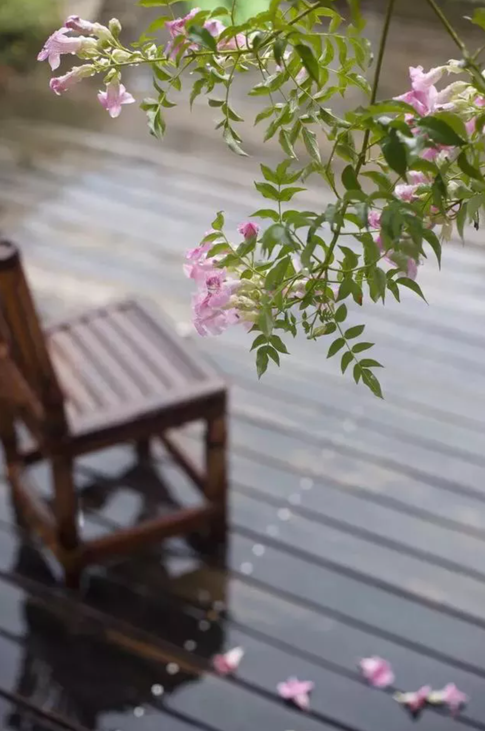 写雨的诗句古诗大全-写大雨的古诗词